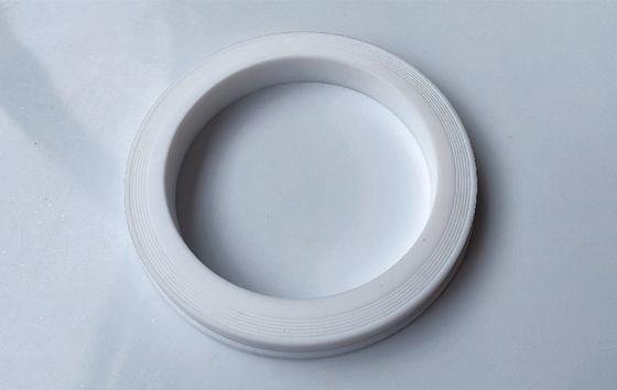 交換可能 簡単 設置 80 ニトリル PTFE ハンマー ユニオン リップシール ガスケット / リング