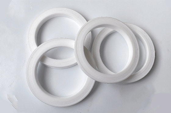 交換可能 簡単 設置 80 ニトリル PTFE ハンマー ユニオン リップシール ガスケット / リング
